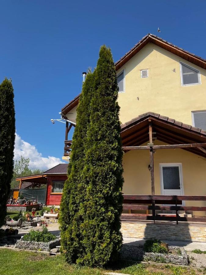 Pensiunea Colt De Rai, Vistisoara Statiunea Climaterica Sambata Dış mekan fotoğraf
