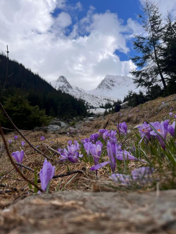 Pensiunea Colt De Rai, Vistisoara Statiunea Climaterica Sambata Dış mekan fotoğraf