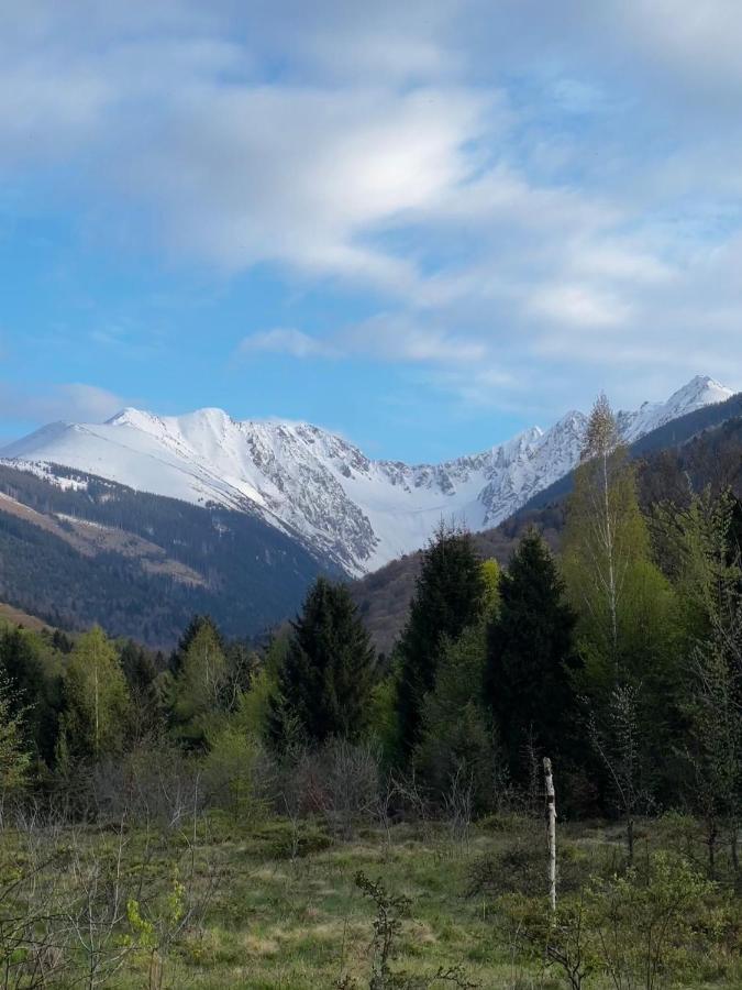 Pensiunea Colt De Rai, Vistisoara Statiunea Climaterica Sambata Dış mekan fotoğraf